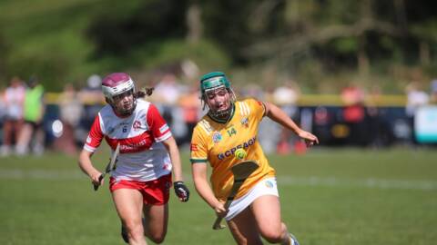 Ulster Senior County SF 2025